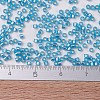 MIYUKI Delica Beads X-SEED-J020-DB0692-4