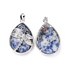 Natural Blue Spot Jasper Pendants G-G900-01P-10-2