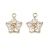 304 Stainless Steel Micro Pave Cubic Zirconia Charms STAS-B088-01G-02-1