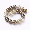Electroplate Shell Pearl Beads Strands X-BSHE-O019-03F-2