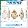 12Pcs 2 Colors Shell Paper Resin Connector Charms KK-BC0012-72-2