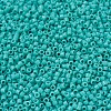 MIYUKI Delica Beads Small SEED-JP0008-DBS0729-2