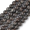 Natural Labradorite Beads Strands G-G0003-C03-6mm-1