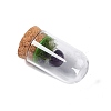 Natural Amethyst Mushroom Display Decoration with Glass Dome Cloche Cover G-E588-03H-3