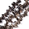 Natural Smoky Quartz Beads Strands G-B072-D01-02-1