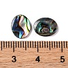 Natural Paua Shell Epoxy Resin Cabochons SSHEL-S279-01G-3