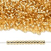 TOHO 8/0 Round Beads SEED-XTR08-0022A-4