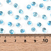 3/0 Baking Paint Glass Fringe Seed Beads SEED-A034-04G-4