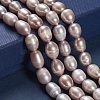 Natural Cultured Freshwater Pearl Beads Strands PEAR-R064-16-4