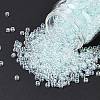 TOHO 6/0 Round Beads SEED-XTR06-0170-1