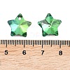 Electroplate Glass Charms GLAA-H104-A05-6