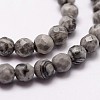 Natural Map Stone/Picasso Stone/Picasso Jasper Beads Strands X-G-D840-35-4mm-3