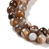 Natural Striped Agate/Banded Agate Beads Strands G-Z060-A01-A14-4