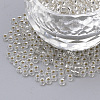 6/0 Grade A Round Glass Seed Beads SEED-A022-F6-34-1