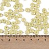 Opaque Colours Luster Glass Seed Beads SEED-P008-01C-08-4