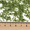 Baking Paint Silver Lined Glass Seed Beads SEED-H003-09D-4