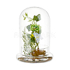 Glass Dome Cover DJEW-WH0099-06C-6