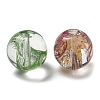 Mixed Style Glass Beads FIND-C039-03-2