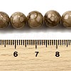 Natural Striped Stone Beads Strands G-D315-A01-03-10mm-5