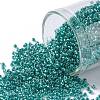 TOHO Round Seed Beads SEED-JPTR15-0377-1