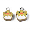 Handmade Polymer Clay Charms CLAY-S096-023-2