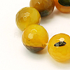 Natural Agate Beads Strands G-H1593-8mm-M-2