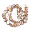 Freshwater Shell Beads Strands SHEL-S274-52C-2