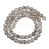 Natural Labradorite Beads Strands G-O176-04B-8