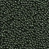 11/0 FGB Grade A Baking Paint Glass Seed Beads X-SEED-N001-A-1040-2
