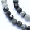 Natural Hawk's Eye Beads Strands G-I279-E14-03-3