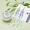 Natural Stone Chip Beads DIY Jewelry Set Making Kit DIY-YW0004-70A-7