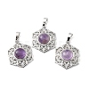 Natural Amethyst Pendants G-P498-02P-04-1