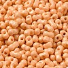 Baking Paint Glass Seed Beads SEED-K009-01A-13-3