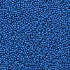 11/0 Grade A Baking Paint Glass Seed Beads X-SEED-N001-A-1014-2
