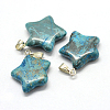 Star Dyed Natural Gemstone Pendants G-Q367-10-2