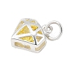 S925 Sterling Silver with Cubic Zirconia Charms STER-Q006-05A-S-2