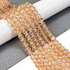 Frosted Transparent Glass Bead Strands GLAA-P065-6mm-02-1