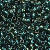 TOHO 6/0 Round Beads SEED-TR06-0270-4