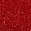 15/0 Transparent Czech Glass Seed Beads SEED-N004-004-27-4
