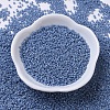 MIYUKI Delica Beads X-SEED-J020-DB0266-2