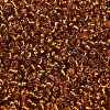 12/0 Glass Seed Beads SEED-A005-2mm-22C-3