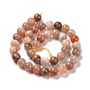 Natural Botswana Agate Beads Strands G-G925-01A-3