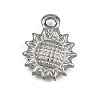 304 Stainless Steel Charms LS-STAS-G363-12P-1