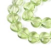 Baking Paint Transparent Glass Beads Strands DGLA-N021-01B-02-3