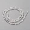 Transparent Solid Color Glass Beads Strands X-GLAA-L031-01-B01-3