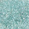 Glass Seed Beads SEED-K009-04A-01-3
