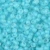 6/0 Luminous Glass Seed Beads X1-SEED-NH0001-01N-4