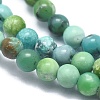 Natural HuBei Turquoise Beads Strands G-A177-04-15-3