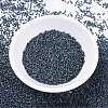 MIYUKI Delica Beads Small SEED-JP0008-DBS0325-2