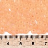6/0 Luminous Glass Seed Beads SEED-NH0001-01D-5